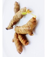 Turmeric Curcuma longa Zingiberaceae 2 Fresh root for growing ThailandMrk - $6.86 CAD