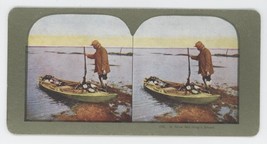 c1900&#39;s Colorized Stereoview A Nice Morning&#39;s Shoot. Hunter with Ducks in Boat - £7.43 GBP