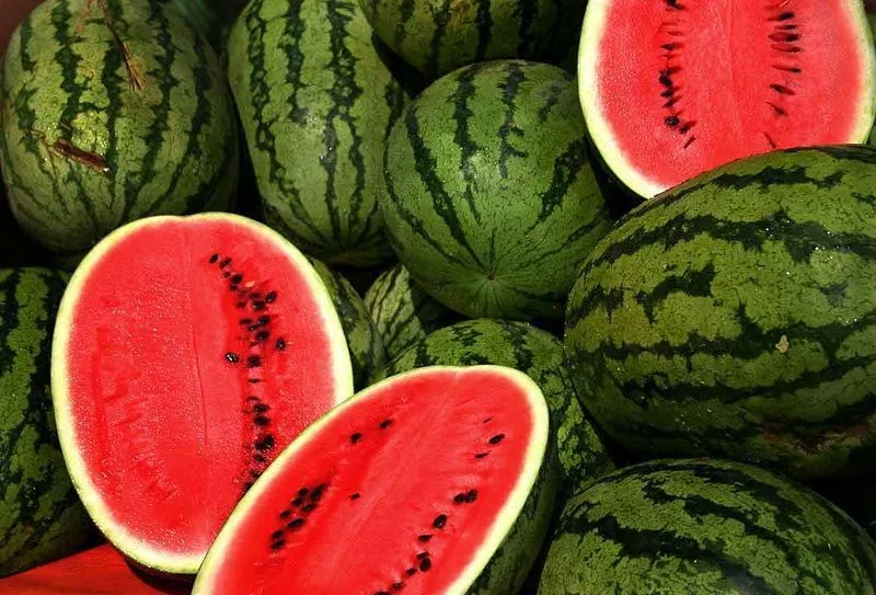 Red  Crimson Watermelon Seeds sweet and tasty 10 Seeds - $9.10