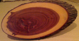 Beautiful Australian Mulga Wood Ink Inkwell, Would Make Nice Pipe Stand - $20.00