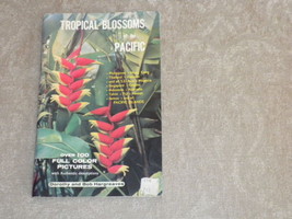 Tropical Blossoms of the Pacific by D &amp; B Hargreaves. color photos Asian Flowers - £4.61 GBP