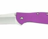 Kershaw 1660PUR Leek Purple Drab 3in Blade Folding Knife Liner Lock Pock... - £56.49 GBP