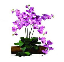 Nearly Natural 2044-MA-12 31.5 in. H Mauve Phalaenopsis Stem - Set of 12 - £130.39 GBP