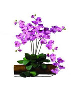Nearly Natural 2044-MA-12 31.5 in. H Mauve Phalaenopsis Stem - Set of 12 - £127.53 GBP