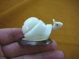 (TNE-SNA-26-C) little white Snail shell TAGUA NUT Figurine carving I lov... - $15.42