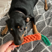 Carrot Dog Chew Toy – Durable Braided Cotton Rope for Puppy Teething &amp; Play - $10.42