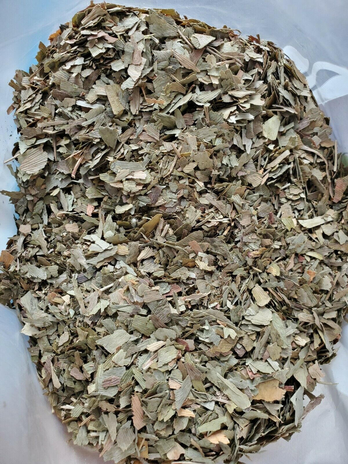  Ginkgo Biloba Herb Maidenhair Tree Tea - $2.97+