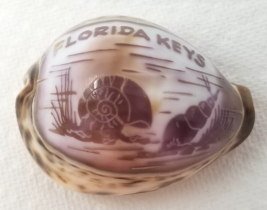 Etched Florida Keys Tiger Shell 1980s Souvenir Vintage - $15.15