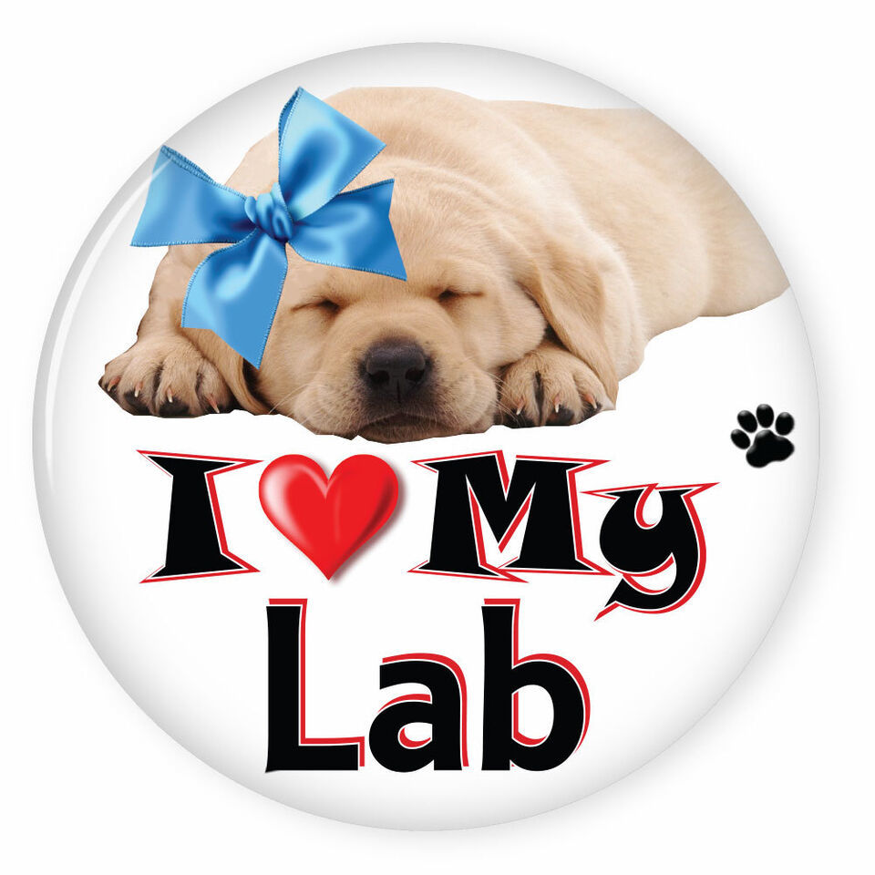 I LOVE MY LABRADOR RETRIEVER DOG PUPPY 3&quot; SAFETY PIN BACK BUTTON - $6.29