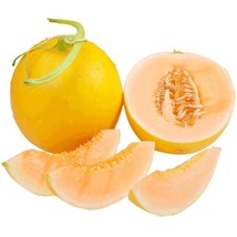 Sweet Crisp Orange Flesh Golden Honeydew Melon 30 Seeds Fresh Garden - £13.28 GBP