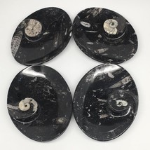 4pcs,6.25&quot;x4.75&quot;x5mm Oval Fossils Orthoceras Ammonite Bowls Dishes,Black, MF1390 - £28.86 GBP