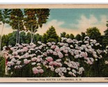Generic Scenic Greetings Flowers in Garden South Lyndeboro NH LInen Post... - $3.91