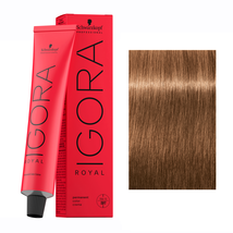 Schwarzkopf IGORA ROYAL Hair Color, 7-65 Medium Blonde Chocolate Gold