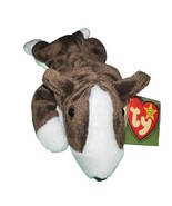 Ty Beanie Baby Bruno Chocolate Brown Bull Terrier Dog 9&quot; 1997 Boys Girls 3 - $6.81