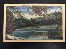 Doanes Pool, in Palomar Mountain State Park Postcard  - $3.65