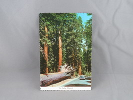 Vintage Postcard - The Fallen Monarch Yosemite National Park- Western Publishing - £11.79 GBP