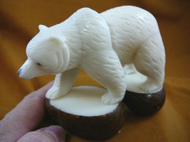 TNE-BEA-GR-511C) White Albino Grizzly Bear Tagua Nut Figurine Carving Vegetable - £47.46 GBP
