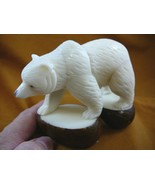 TNE-BEA-GR-511C)  white albino Grizzly BEAR TAGUA NUT Figurine Carving V... - £46.70 GBP