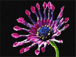 Pepita needlepoint canvas: African Daisy Bright, 12&quot; x 9&quot; - £64.23 GBP+