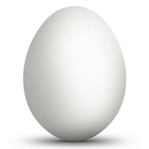 Blown Out Real Goose Eggshell 3.5 Inches Tall Unfinished Hollow Egg - £19.97 GBP