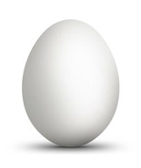 Blown Out Real Goose Eggshell 3.5 Inches Tall Unfinished Hollow Egg - £19.86 GBP