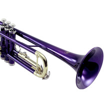 **Great Gift** Beautiful Purple/Gold Trumpet W Case Clearance - £119.87 GBP