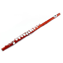 Guarantee Quality Sound SKY Band Red C Foot Flute/Gold w Case - $139.99