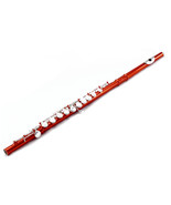 Guarantee Quality Sound SKY Band Red C Foot Flute/Gold w Case - $190.15 CAD
