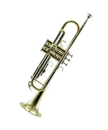 **GREAT GIFT**New Trumpet/Copper Lead Pipe w Hard Case &amp; Carrying Bag - £152.23 GBP