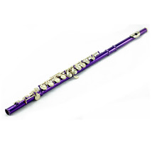 **Big Saving**Beautiful Metallic Purple/Gold Flute W Hard Case &amp; Bag*Great Gift* - £111.90 GBP