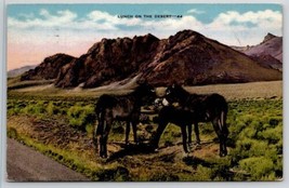 Mules Donkeys Lunch On The Desert Postcard R27 - £6.25 GBP