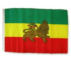 AES 12x18 12&#39;&#39;x18&#39;&#39; Ethiopia Lion Sleeve Flag Boat Car Garden Best Garden Outdor - £2.96 GBP