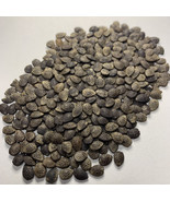 LWK 200 Passion Flower Seeds * * Passiflora Maliformis Vine Seeds Fast S... - $61.13