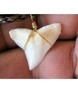 3 SHARK NECKLACES COMBO DEAL BUNDLE LOT MAKO BULL TIGER PENDANT SURF WEA... - $49.45