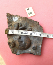 Item image 15