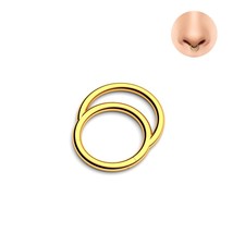 1PC G23 Titanium Stainless Steel Hinge Segment Nose Ring Nipple Ear Cartilage Tr - £10.36 GBP