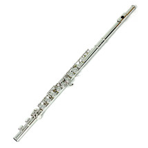 SKY Band Approved Nickel Plated C FOOT Flute w Hard Case+Soft Bag (blk) - $129.99