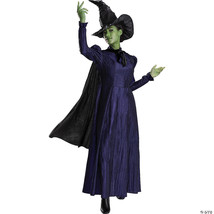 ELPHABA DELUXE ADULT L - $199.66 CAD