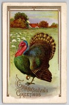 Thanksgiving Greeting Turkey Harvest 1910 To Cornish Flat NY Postcard K28 - £4.66 GBP