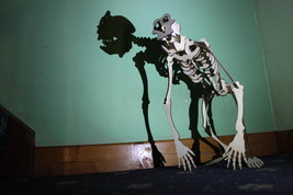 Halloween Skeleton Realy Terrible Wood Laser Cut - £20.55 GBP