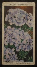 VINTAGE WILLS CIGARETTE CARDS GARDEN FLOWERS DIANTHUS No # 18 NUMBER x1 b11 - $1.75