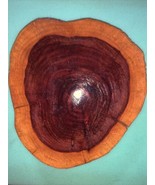 CYPRESS WOOD Oval  Art Gorgeous Artwork - $524.58 MXN