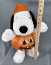 Peanuts Snoopy Halloween Plush Greeter Pumpkin Costume Gemmy 18” Decor  NWT - $44.54