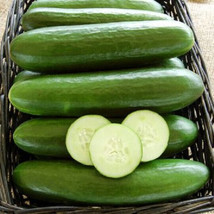 25 Seeds Tyria Cucumbers Planting Edible Food Canning Pickling - £3.07 GBP