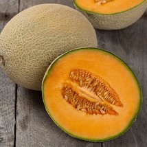 Hales Best Jumbo Cantaloupe 100  Seeds NON-GMO  USA Seller - £9.57 GBP