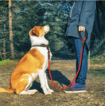 Reflective Comfort Leash - Premium Nylon Dog Leash For Walking And Training - Ul - £17.08 GBP+