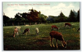 Deer Park Golden Gate Park San Francisco California UNP DB Postcard T1 - £3.83 GBP