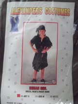 Indian Girl Child&#39;s Costume - Size: Small - NEW - Alexanders Costume Co. - $12.99
