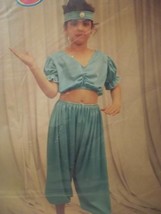  Jeanie Jasmine Girl Costume - Size: Large (12-14) - NEW - Franco Costum... - $14.99