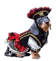 Swashbuckler Pirate Dog Costume Detailed Black Velveteen Petticoat Dress and Hat - £40.91 GBP